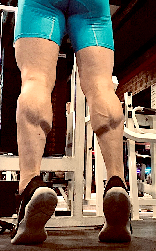 calves-copy
